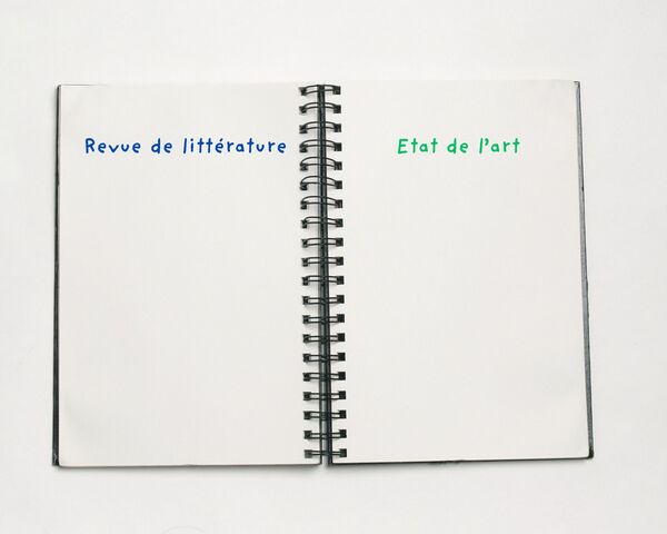 revue de littérature et état de l'art