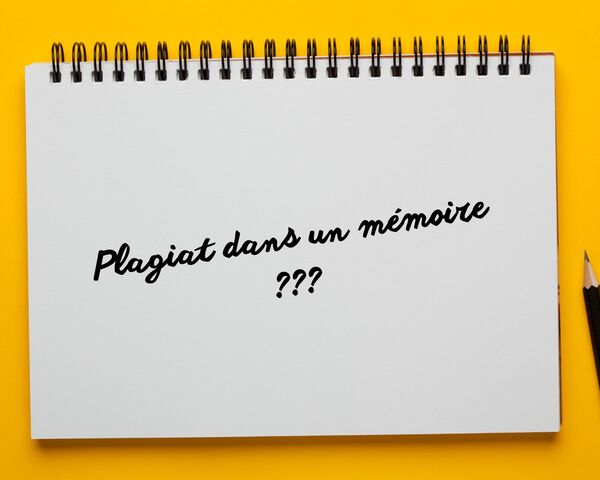 Plagiat dans un mémoire : ce que c&rsquo;est vraiment, comment le repérer et l&rsquo;éviter